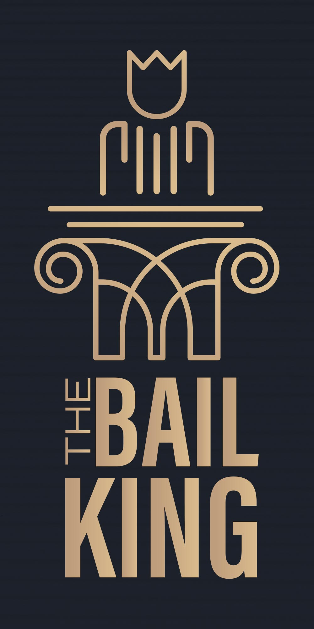 VJ-SINGH-Lawyer-TheBail-King